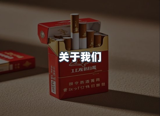 专业团队